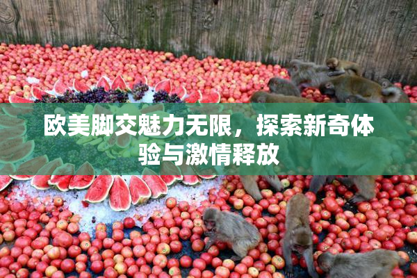 欧美脚交魅力无限，探索新奇体验与激情释放