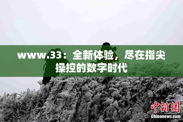 www.33：全新体验，尽在指尖操控的数字时代
