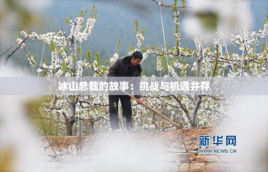 冰山总裁的故事：挑战与机遇并存