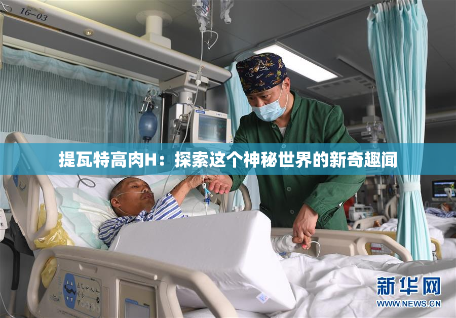 提瓦特高肉H：探索这个神秘世界的新奇趣闻