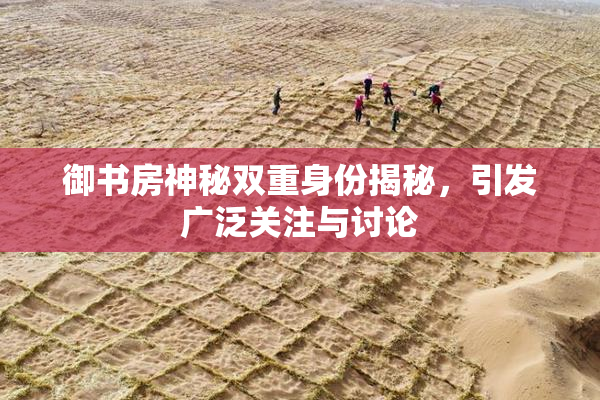 御书房神秘双重身份揭秘，引发广泛关注与讨论