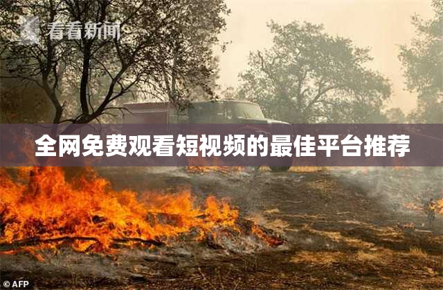 全网免费观看短视频的最佳平台推荐