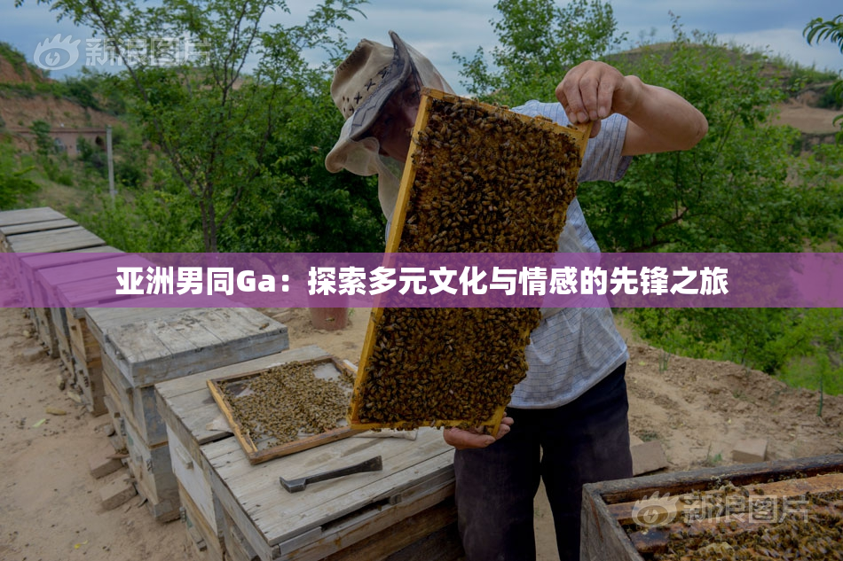 亚洲男同Ga：探索多元文化与情感的先锋之旅