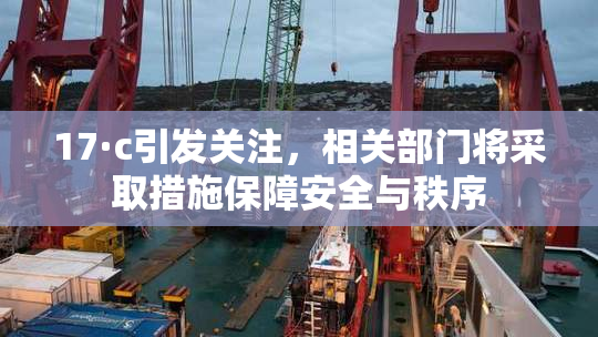 17·c引发关注，相关部门将采取措施保障安全与秩序