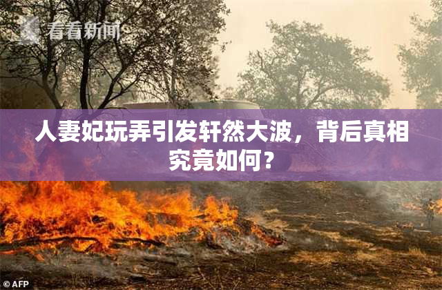 人妻妃玩弄引发轩然大波，背后真相究竟如何？