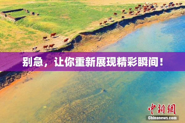 别急，让你重新展现精彩瞬间！