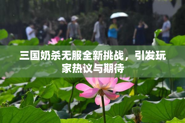 三国奶杀无服全新挑战，引发玩家热议与期待