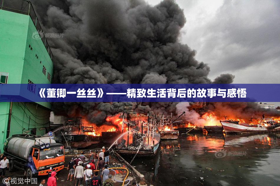 《董卿一丝丝》——精致生活背后的故事与感悟