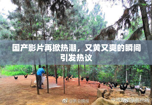 国产影片再掀热潮，又黄又爽的瞬间引发热议