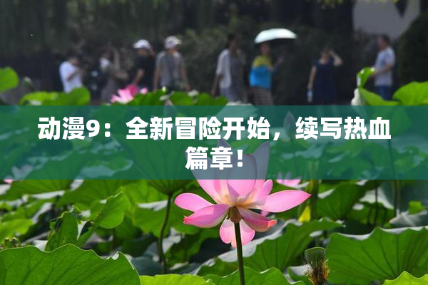 动漫9：全新冒险开始，续写热血篇章！
