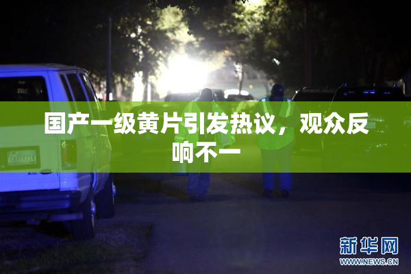 国产一级黄片引发热议，观众反响不一