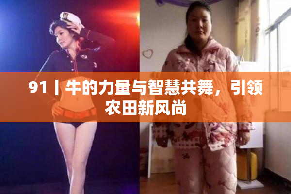 91丨牛的力量与智慧共舞，引领农田新风尚