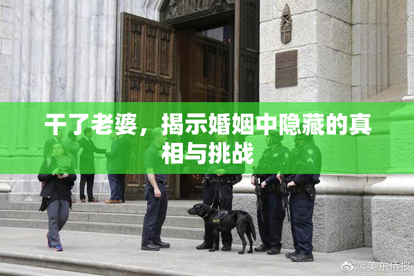 干了老婆，揭示婚姻中隐藏的真相与挑战