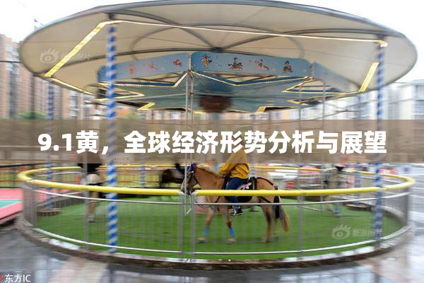 9.1黄，全球经济形势分析与展望