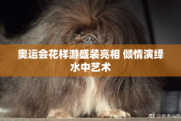 奥运会花样游盛装亮相 倾情演绎水中艺术