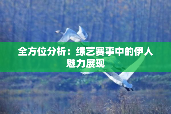 全方位分析：综艺赛事中的伊人魅力展现