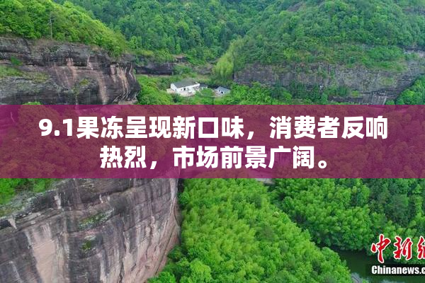 9.1果冻呈现新口味，消费者反响热烈，市场前景广阔。