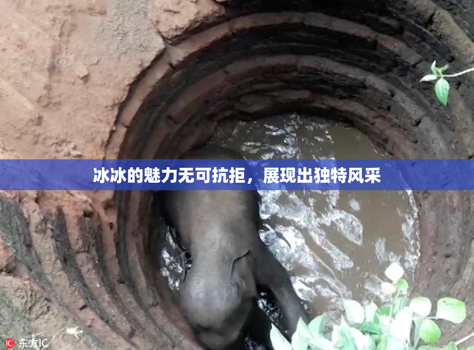 冰冰的魅力无可抗拒，展现出独特风采
