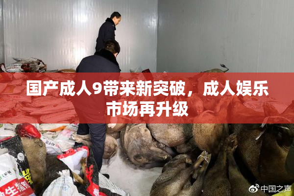 国产成人9带来新突破，成人娱乐市场再升级