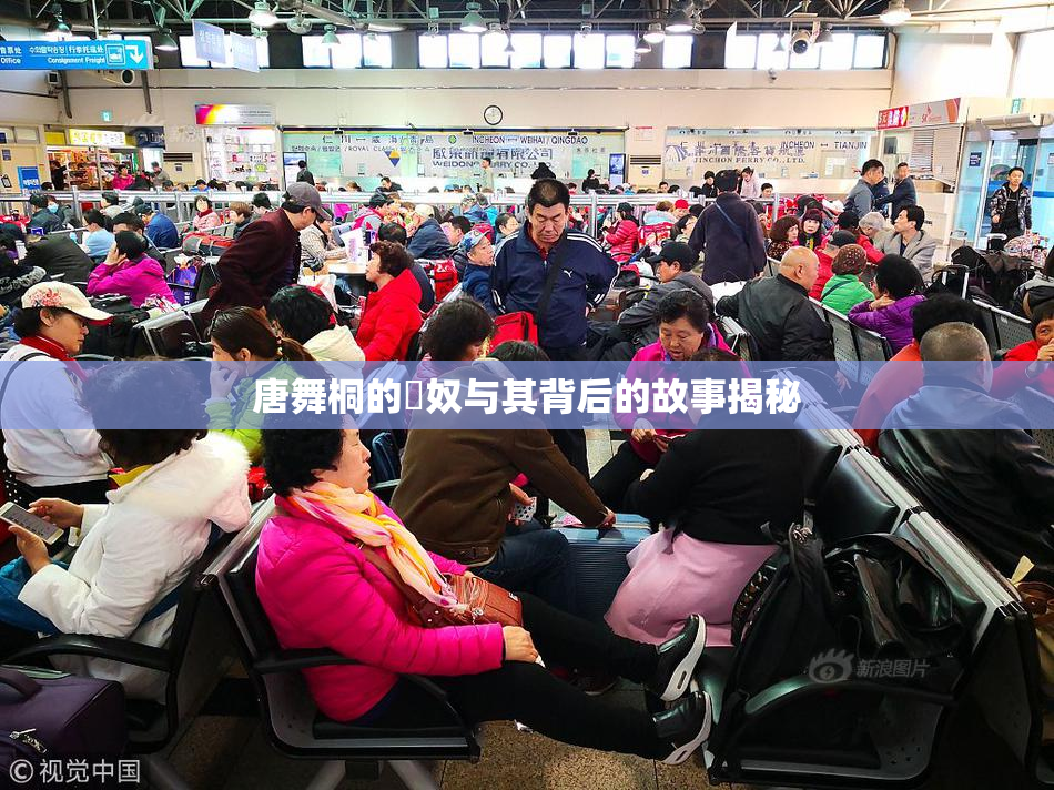 唐舞桐的婬奴与其背后的故事揭秘