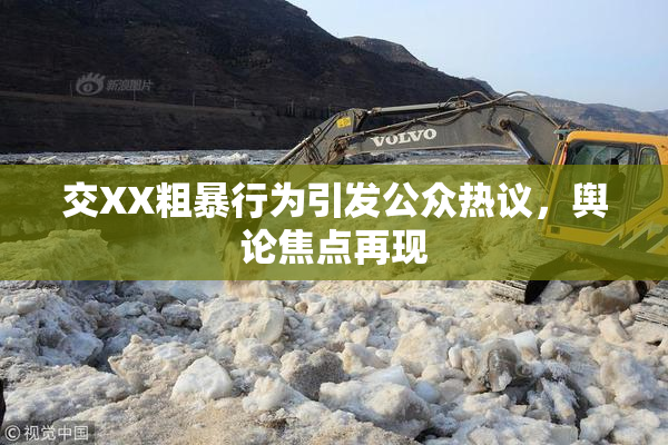 交XX粗暴行为引发公众热议，舆论焦点再现