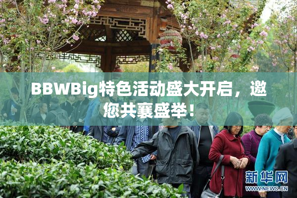 BBWBig特色活动盛大开启，邀您共襄盛举！