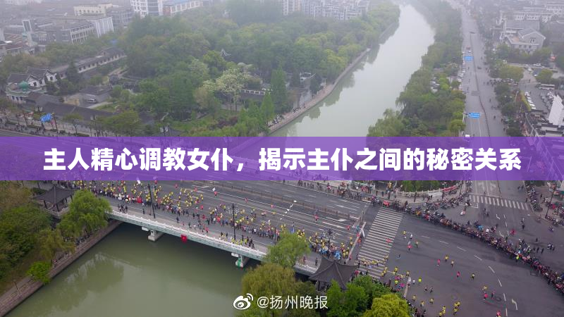 主人精心调教女仆，揭示主仆之间的秘密关系