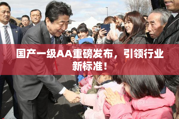 国产一级AA重磅发布，引领行业新标准！