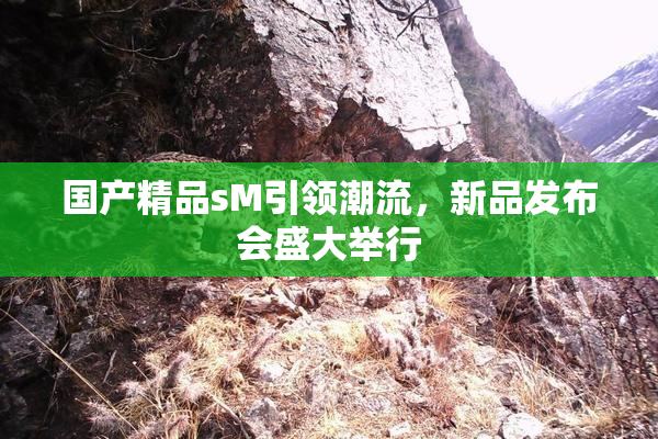 国产精品sM引领潮流，新品发布会盛大举行