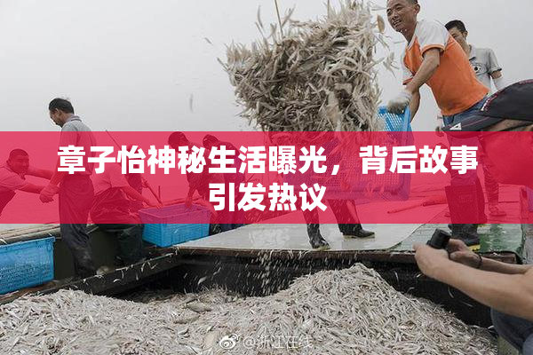 章子怡神秘生活曝光，背后故事引发热议