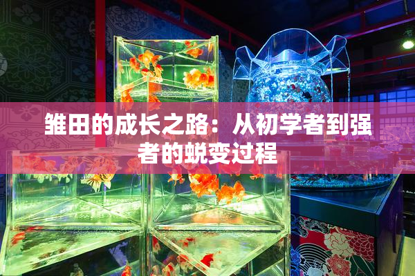 雏田的成长之路：从初学者到强者的蜕变过程