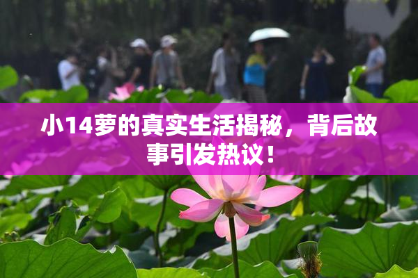小14萝的真实生活揭秘，背后故事引发热议！