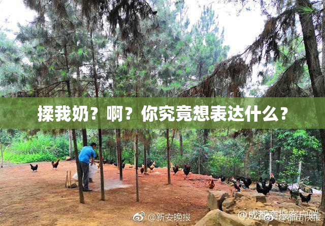 揉我奶？啊？你究竟想表达什么？