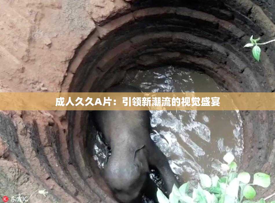 成人久久A片：引领新潮流的视觉盛宴