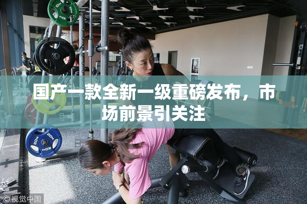 国产一款全新一级重磅发布，市场前景引关注