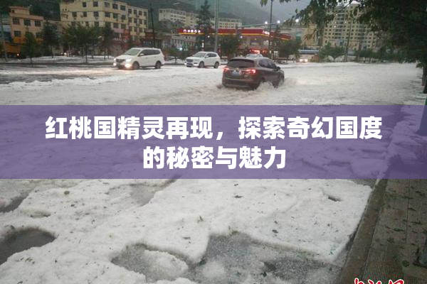 红桃国精灵再现，探索奇幻国度的秘密与魅力