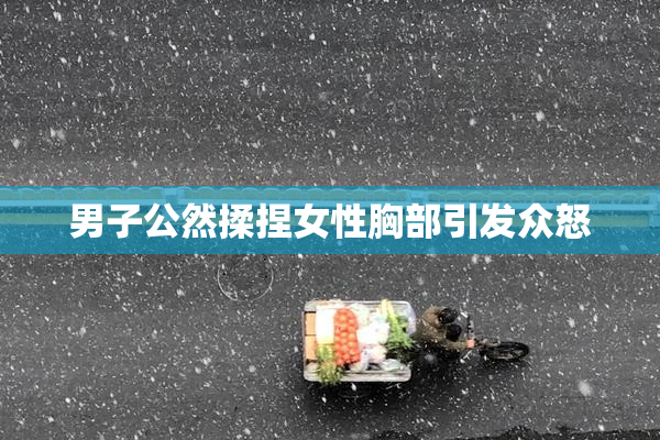 男子公然揉捏女性胸部引发众怒