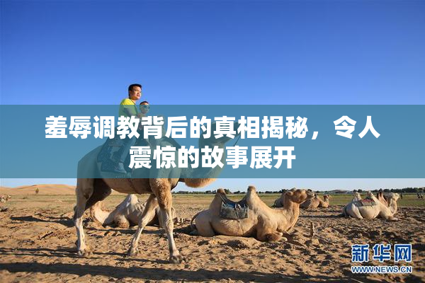 羞辱调教背后的真相揭秘，令人震惊的故事展开