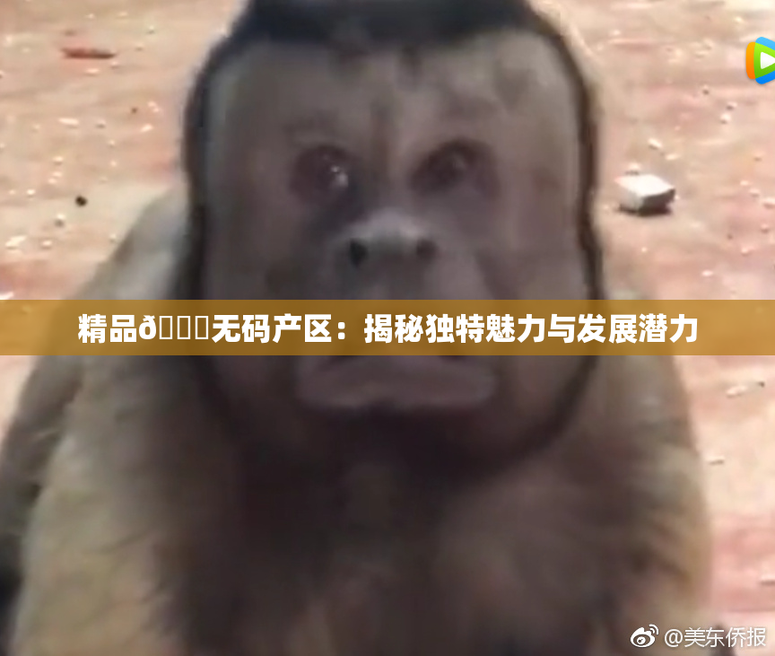 精品🌃无码产区：揭秘独特魅力与发展潜力