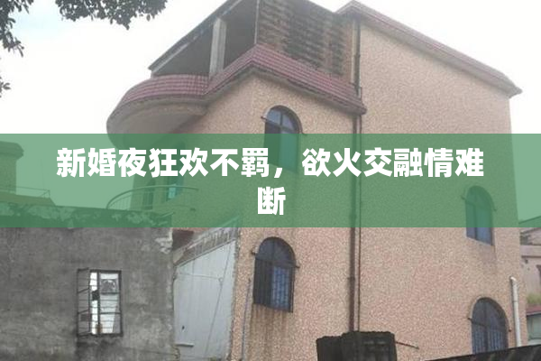 新婚夜狂欢不羁，欲火交融情难断