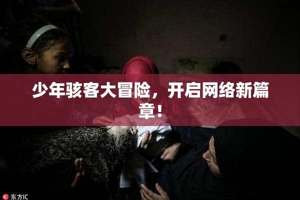 少年骇客大冒险，开启网络新篇章！