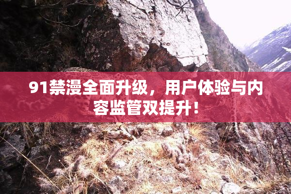 91禁漫全面升级，用户体验与内容监管双提升！