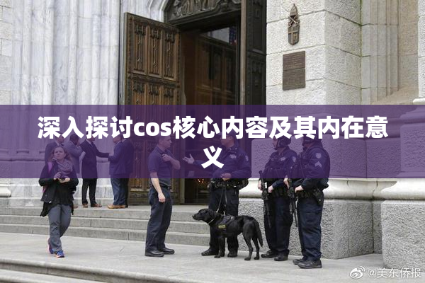 深入探讨cos核心内容及其内在意义