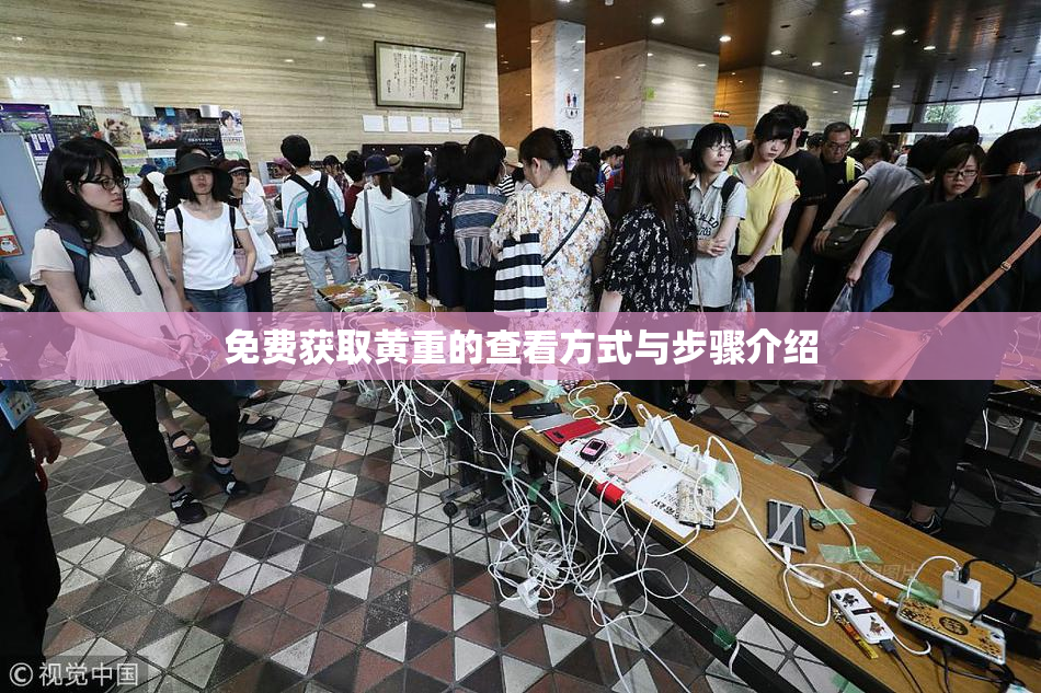免费获取黄重的查看方式与步骤介绍