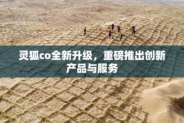 灵狐co全新升级，重磅推出创新产品与服务