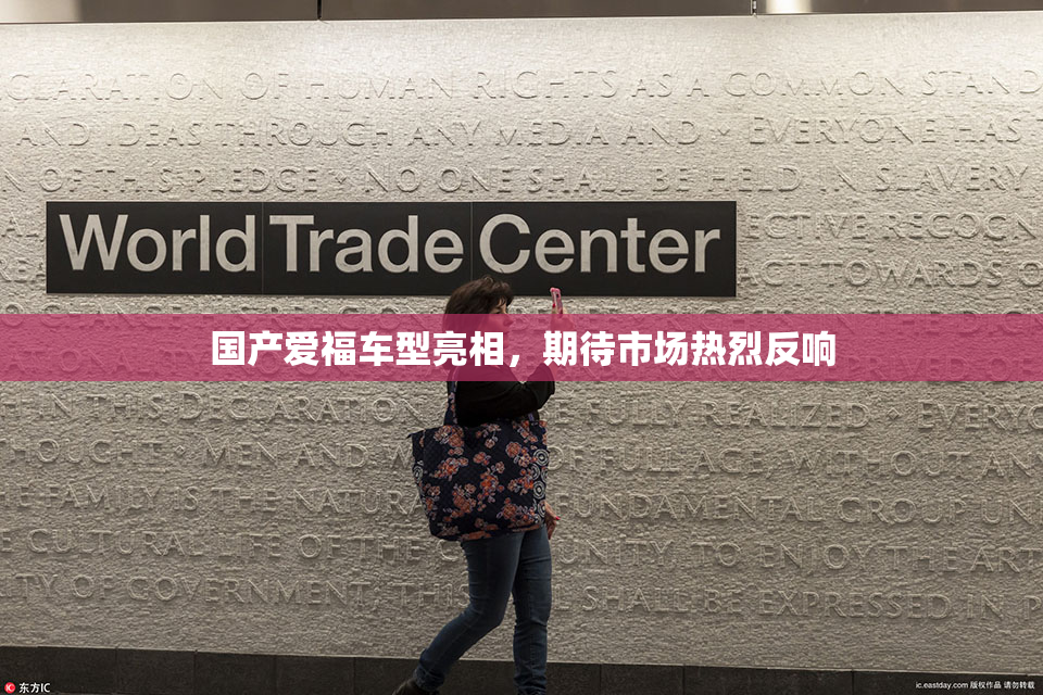 国产爱福车型亮相，期待市场热烈反响