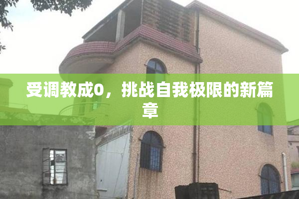 受调教成0，挑战自我极限的新篇章