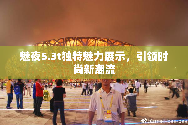 魅夜5.3t独特魅力展示，引领时尚新潮流