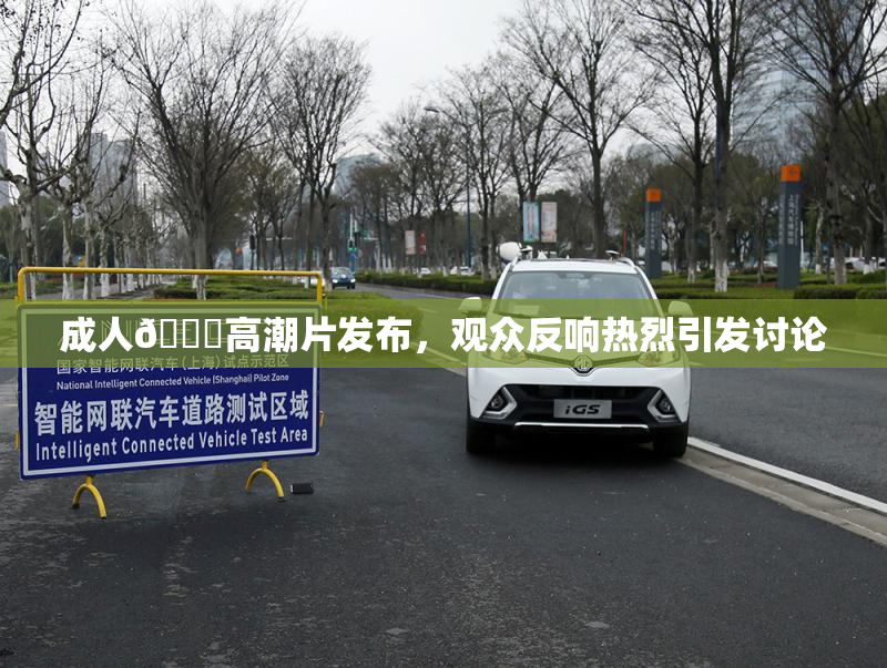 成人🔞高潮片发布，观众反响热烈引发讨论
