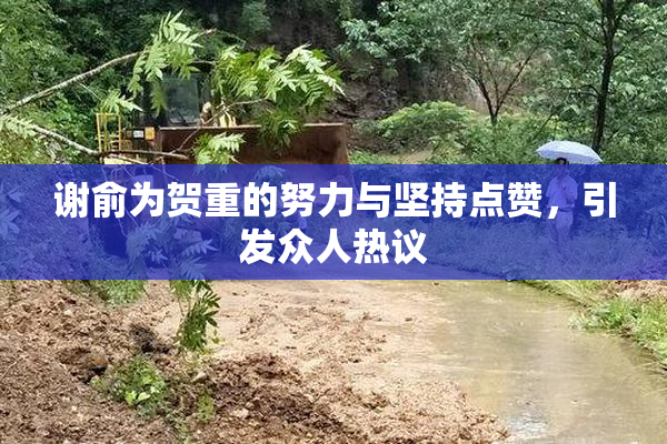 谢俞为贺重的努力与坚持点赞，引发众人热议